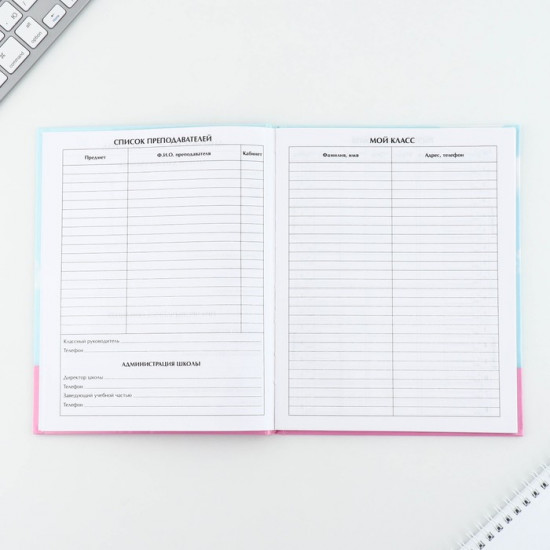 Дневник школьный «Котик»