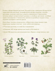 Лекарственные растения. Большой атлас - Фото 1