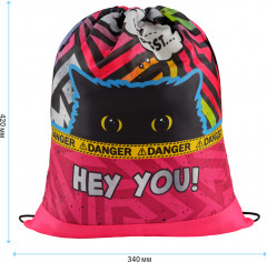 Мешок для обуви «Spy Cat» - Фото 1