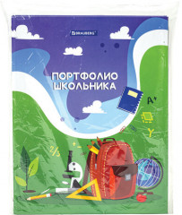 Папка-портфолио на 4-х кольцах «Школьная история» - Фото 5