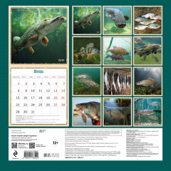 Календарь настенный на 2024 год «Рыбак рыбака видит издалека» - Фото 1