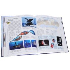 Океаны. Иллюстрированный атлас - Фото 3