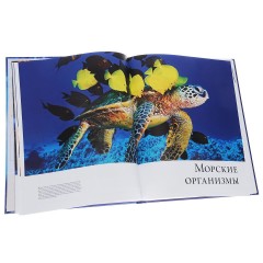 Океаны. Иллюстрированный атлас - Фото 1