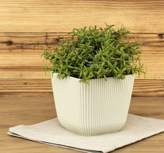 Кашпо «Пиканто» - Фото 2