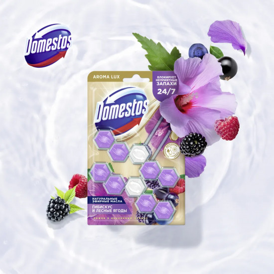 Блок для очищения унитаза «Сказочный аромат»