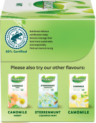 Чай мятный - Фото 2