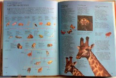 Большая книга знаний - Фото 1