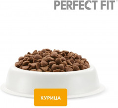 Корм для котят с курицей - Фото 3