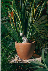 Фигурка-ороситель для полива растений «Jangal Tiger» - Фото 1