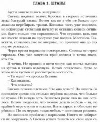 Чёрный сектор - Фото 1