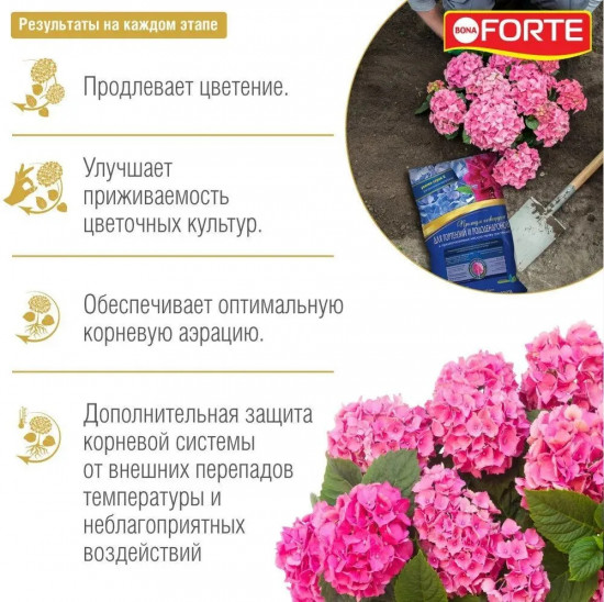 Грунт для гортензии и рододендрона