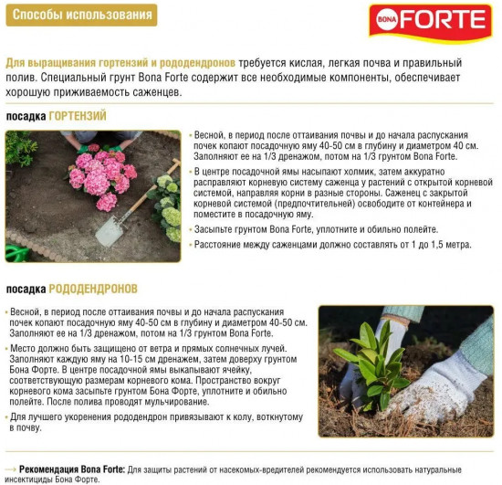 Грунт для гортензии и рододендрона