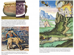 Яды, микробы, животные, адский огонь. История биологического и химического оружия Древнего мира - Фото 2