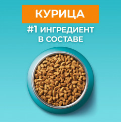 Корм сухой для кошек с курицей и цельным злаками - Фото 4