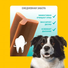 Лакомство жевательное для крупных собак с говядиной «Dental care» - Фото 3