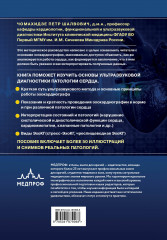 Эхокардиография для начинающих. Суть гемодинамических нарушений, позиции для анализа, определение тяжести порока - Фото 1