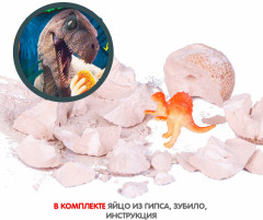 Набор для исторических раскопок «Яйцо динозавра» - Фото 4