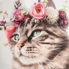 Набор подарочный для женщин «Flower cat» - Фото 3