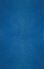 Хроники Нарнии. Последняя битва - Фото 1