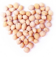 Игрушка-грелка «Кот» - Фото 1