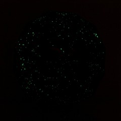 Светящийся глобус звездного неба «Star Light Globe» - Фото 2