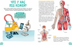 Невероятное тело человека - Фото 3