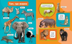 Дикие животные - Фото 1