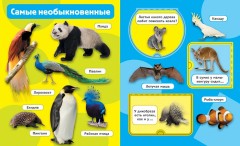 Дикие животные - Фото 2