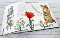 Аленький цветочек. Сказка ключницы Пелагеи - Фото 1