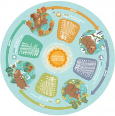 Пазлы светящиеся «Четыре времени года» - Фото 2