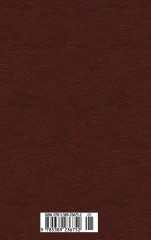 Пять недель на воздушном шаре - Фото 1