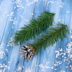 Набор новогодний №11 - Фото 2