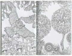 Раскраска антистресс «Таинственный лес» (56 листов, А5) - Фото 1