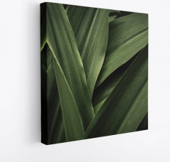 Картина модульная «Листья» - Фото 2