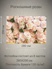 Фотообои «Роскошные розы» - Фото 2