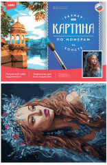 Раскраска по номерам «Леди Холод» - Фото 1