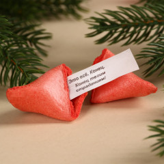 Печенье с предсказанием «Окно в новый год» - Фото 1