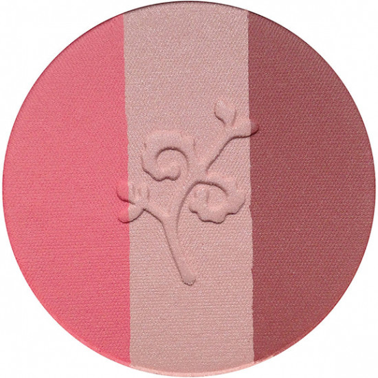 Румяна для лица компактные «Natural Powder Blush Trio», оттенок Fall in love