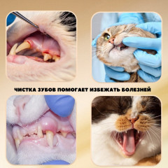 Набор для чистки зубов животных: зубная паста, зубная щетка, напальчник - Фото 3