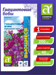 Гиацинтовые бобы «Рубиновая луна» - Фото 1