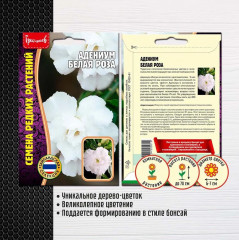 Адениум «Белая роза» - Фото 1