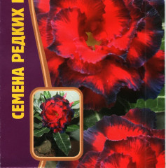 Адениум «Черная птица» - Фото 1