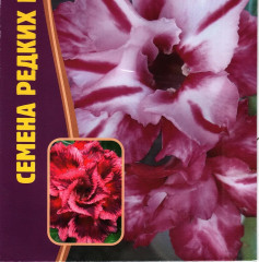 Адениум «Экзотическая бабочка» - Фото 1