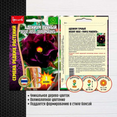 Адениум тучный desert rose «Triple Magenta» - Фото 1
