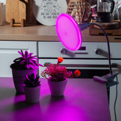 Фитолампа светодиодная - Фото 8