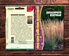 Шизахриум «Венечный» - Фото 1