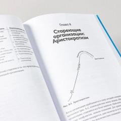 Управление жизненным циклом компании. Как организации растут, развиваются и умирают и что с этим делать - Фото 1