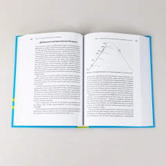 Управление жизненным циклом компании. Как организации растут, развиваются и умирают и что с этим делать - Фото 10