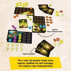 Настольная игра «Грибные места» - Фото 9