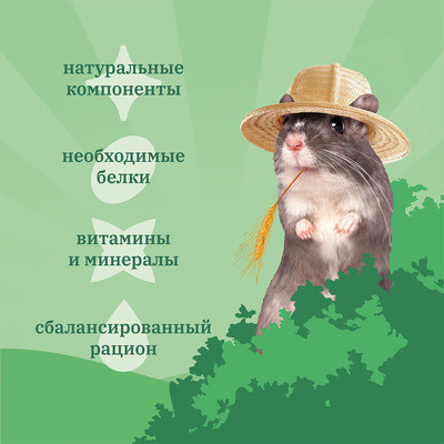 Корм для мышей и песчанок